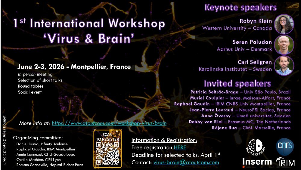 1st international workshop on "Virus & Brain" to be held in Montpellier, France on June 2-3, 2026