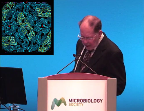 Microbiology Society Prize Medal 2017: Professor Michael Rossmann