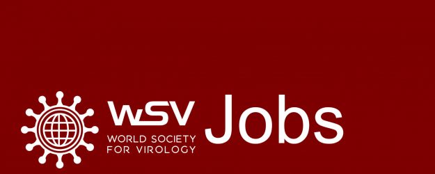 11 jobs WSV OK