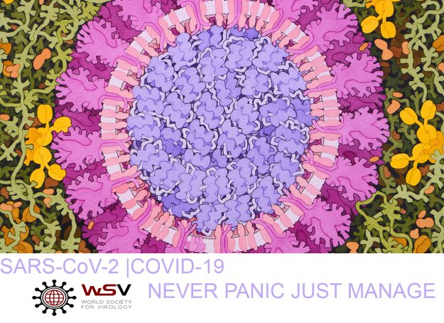 coronavirus_illustration_1280x720_WSV