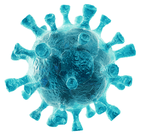 virus_111 - World Society for Virology