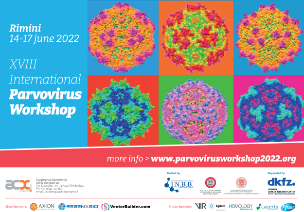 Parvoworkshop flyer