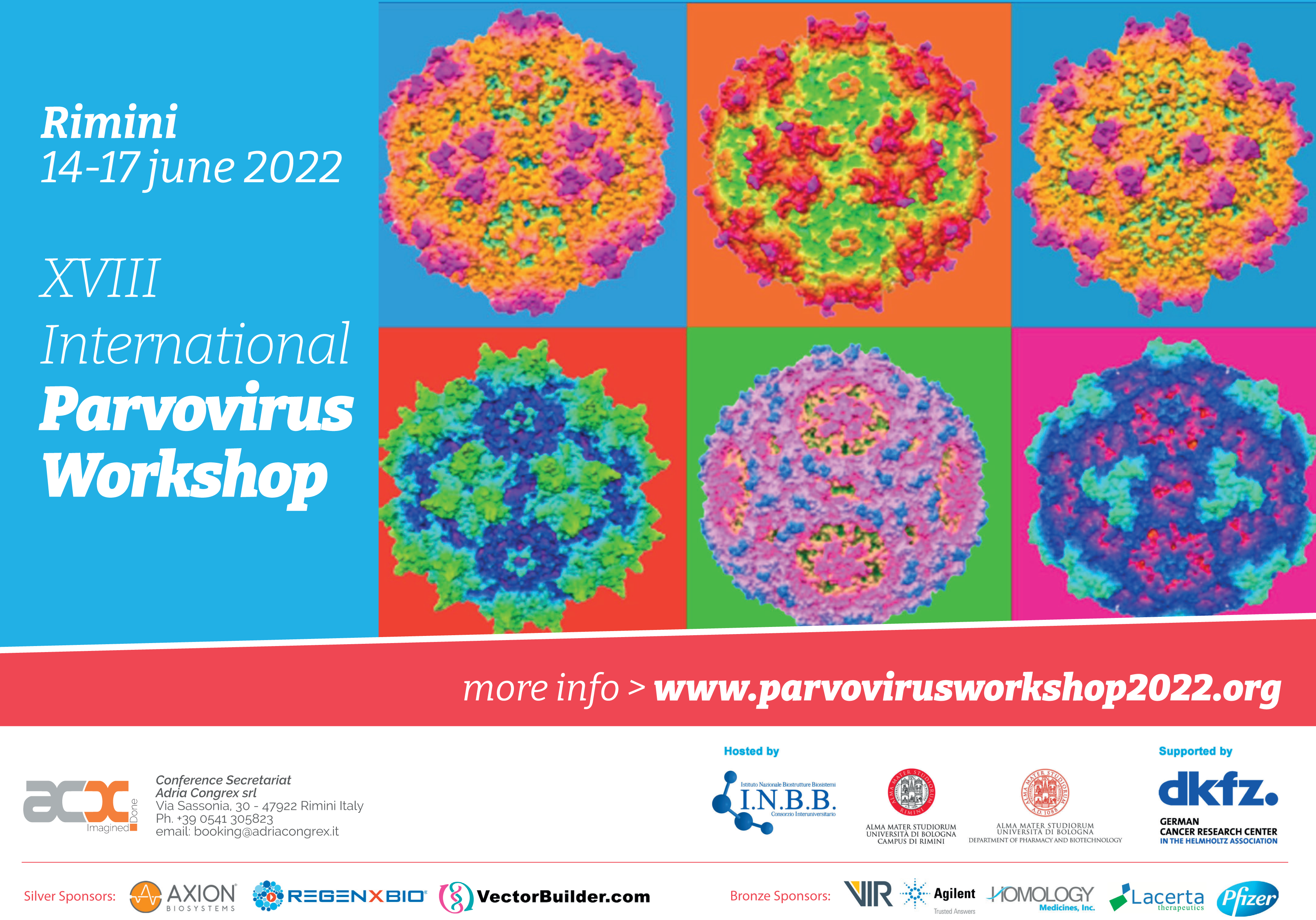 Parvoworkshop flyer