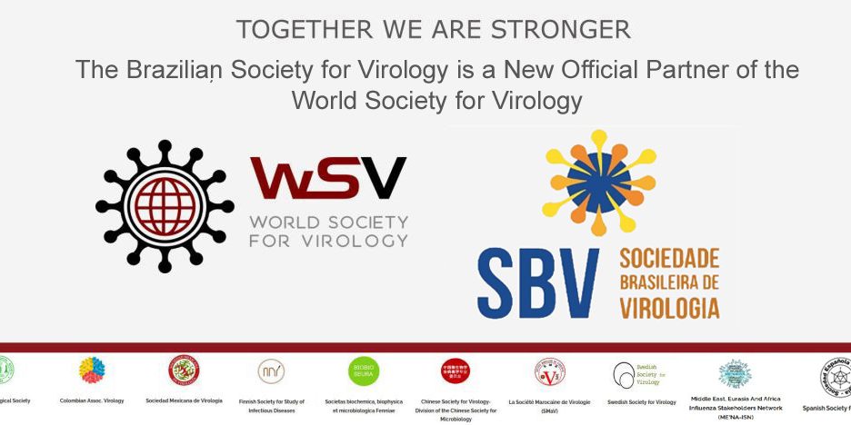 BSV-WSV