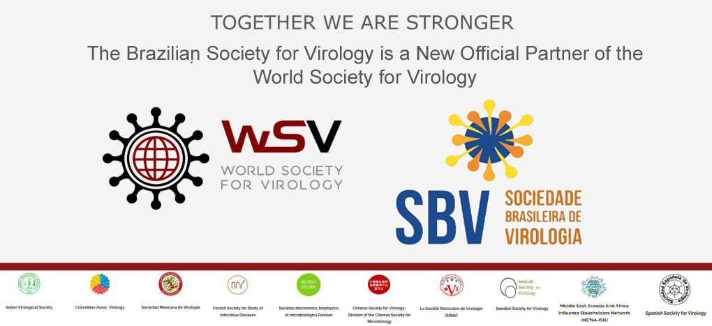 BSV-WSV