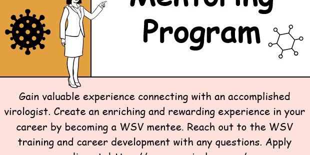 Mentoring program