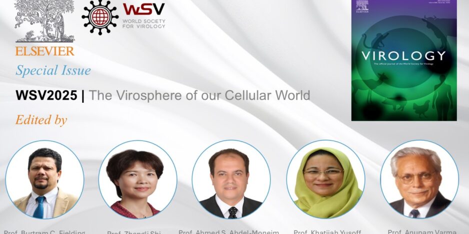 WSV2025 SI